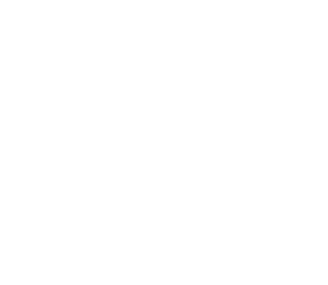 icon_option_1_bsp